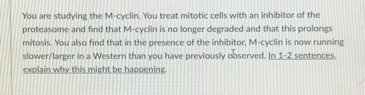 You are studying the M-cyclin. You treat mitotic cells with an inhibitor of the
proteasome and find that M-cyclin is no longer degraded and that this prolongs
mitosis. You also find that in the presence of the inhibitor, M-cyclin is now running
slower/larger in a Western than you have previously doserved. In 1-2 sentences,
explain why this might be happening.