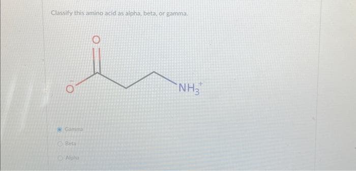 Classify this amino acid as alpha, beta, or gamma.
Gamma
Beta
Alpha
NH3