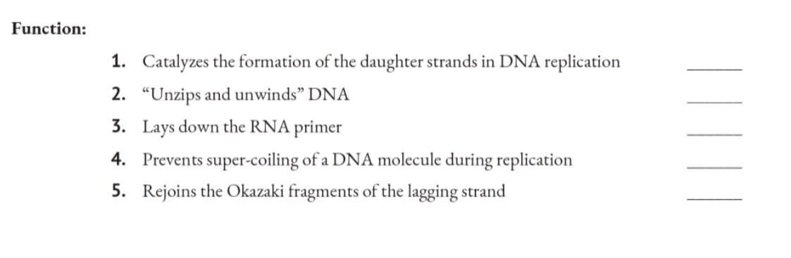 Function:
1. Catalyzes the formation of the daughter strands in DNA replication
2. "Unzips and unwinds" DNA
3. Lays down the RNA primer
4. Prevents super-coiling of a DNA molecule during replication
5. Rejoins the Okazaki fragments of the lagging strand