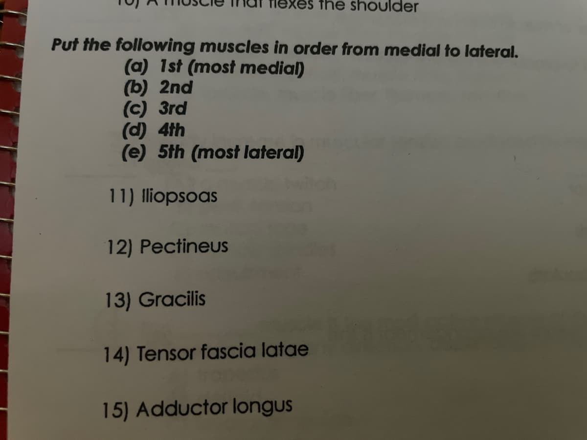 Put the following muscles in order from medial to lateral.
(a) 1st (most medial)
(b) 2nd
(c) 3rd
kes the shoulder
(d) 4th
(e) 5th (most lateral)
11) Iliopsoas
12) Pectineus
13) Gracilis
14) Tensor fascia latae
15) Adductor longus