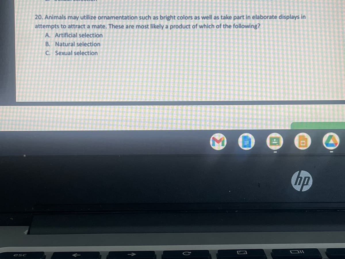 esc
20. Animals may utilize ornamentation such as bright colors as well as take part in elaborate displays in
attempts to attract a mate. These are most likely a product of which of the following?
A. Artificial selection
B. Natural selection
C. Sexual selection
U
0
O
hp
Dll