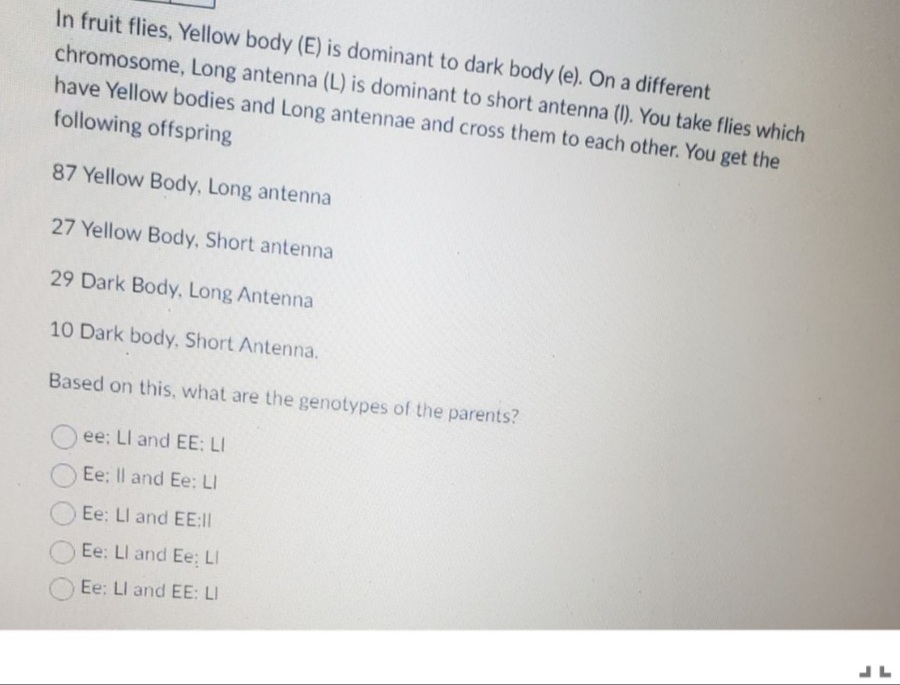 In fruit flies, Yellow body (E) is dominant to dark body (e). On a different
chromosome, Long antenna (L) is dominant to short antenna (I). You take flies which
have Yellow bodies and Long antennae and cross them to each other. You get the
following offspring
87 Yellow Body, Long antenna
27 Yellow Body, Short antenna
29 Dark Body, Long Antenna
10 Dark body, Short Antenna.
Based on this, what are the genotypes of the parents?
ee: LI and EE: LI
Ee: Il and Ee: LI
Ee: LI and EE:II
Ee: Ll and Ee: LI
Ee: LI and EE: LI
LF