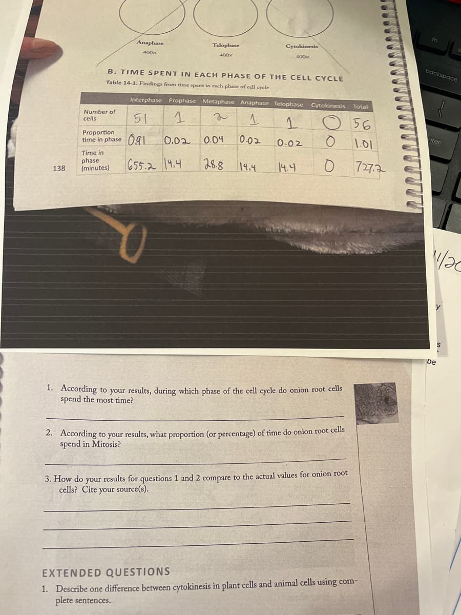 138
Number of
cells
Proportion
time in phase
Anaphase
400x
Time in
phase
(minutes)
B. TIME SPENT IN EACH PHASE OF THE CELL CYCLE
Table 14-1. Findings from time spent in each phase of cell cycle
Telophase
400x
655.2 14.4
O
Interphase Prophase Metaphase Anaphase Telophase Cytokinesis Total
51
1
1
56
0.02
0.02
Cytokinesis
0-02
400x
0.04
28.8 14.4
O
14.4 O
1. According to your results, during which phase of the cell cycle do onion root cells
spend the most time?
2. According to your results, what proportion (or percentage) of time do onion root cells
spend in Mitosis?
3. How do your results for questions 1 and 2 compare to the actual values for onion root
cells? Cite your source(s).
1.01
727.2
EXTENDED QUESTIONS
1. Describe one difference between cytokinesis in plant cells and animal cells using com-
plete sentences.
backspace
nter
Vac
be
S