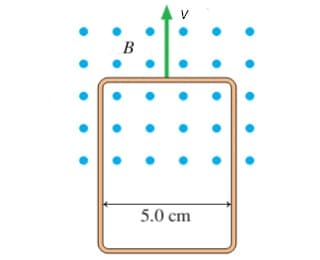 ●
в
V
5.0 cm