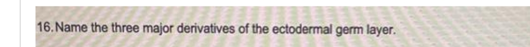 16. Name the three major derivatives of the ectodermal germ layer.
