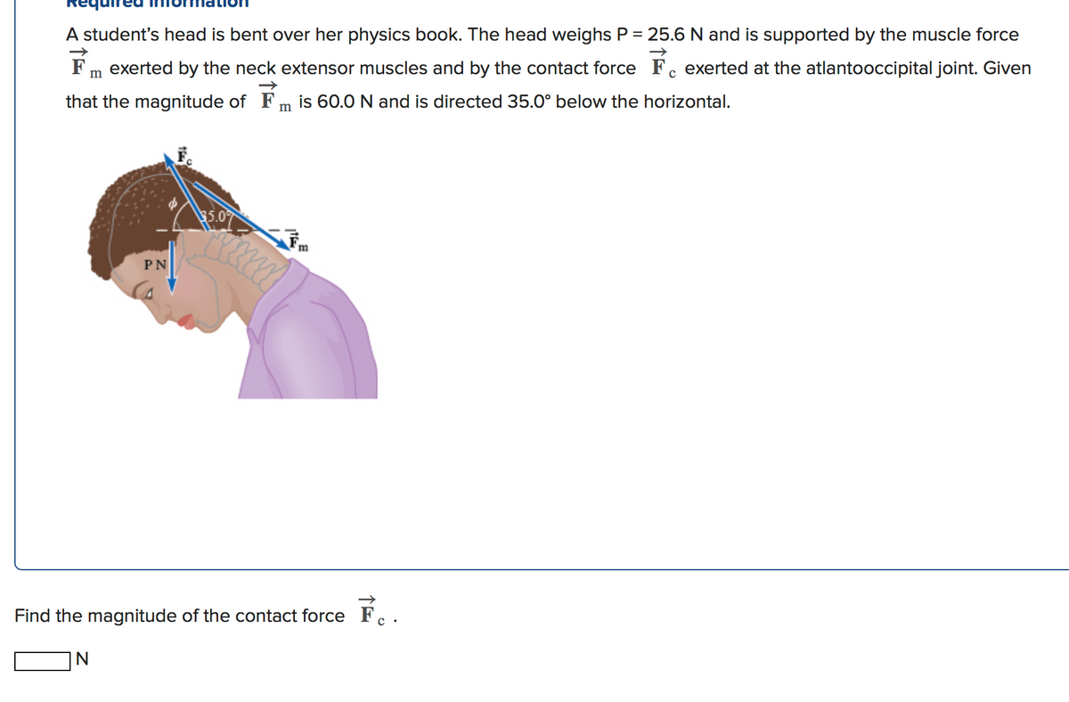 A student's head is bent over her physics book. The head weighs P = 25.6 N and is supported by the muscle force
Fm exerted by the neck extensor muscles and by the contact force Fc exerted at the atlantooccipital joint. Given
that the magnitude of Fm is 60.0 N and is directed 35.0° below the horizontal.
PN
Find the magnitude of the contact force F. .
|N
