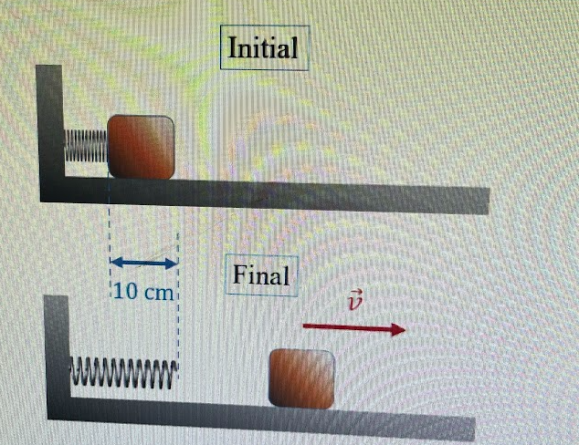 10 cm
Initial
Final
V