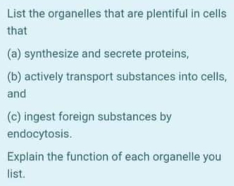 List the organelles that are plentiful in cells
that
(a) synthesize and secrete proteins,
(b) actively transport substances into cells,
and
(c) ingest foreign substances by
endocytosis.
Explain the function of each organelle you
list.
