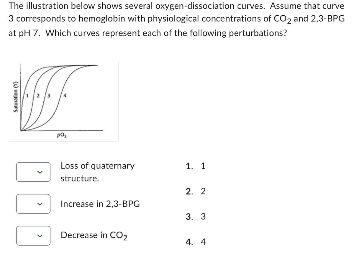 The illustration below shows several oxygen-dissociation curves. Assume that curve
3 corresponds to hemoglobin with physiological concentrations of CO2 and 2,3-BPG
at pH 7. Which curves represent each of the following perturbations?
Saturation (Y)
N
P⁰₂
Loss of quaternary
structure.
Increase in 2,3-BPG
Decrease in CO₂
1. 1
2. 2
3. 3
4. 4