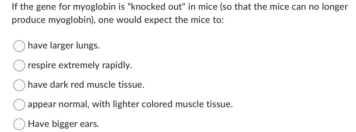 If the gene for myoglobin is "knocked out" in mice (so that the mice can no longer
produce myoglobin), one would expect the mice to:
have larger lungs.
respire extremely rapidly.
have dark red muscle tissue.
appear normal, with lighter colored muscle tissue.
Have bigger ears.