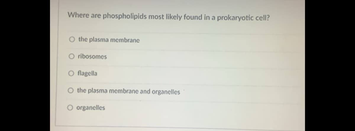 Where are phospholipids most likely found in a prokaryotic cell?
O the plasma membrane
O ribosomes
O flagella
O the plasma membrane and organelles
O organelles
