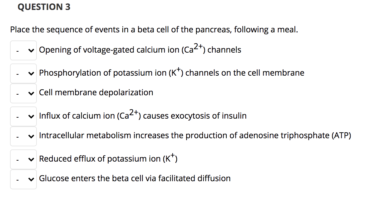 QUESTION 3
Place the sequence of events in a beta cell of the pancreas, following a meal.
v Opening of voltage-gated calcium ion (Ca2+) channels
v Phosphorylation of potassium ion (K*) channels on the cell membrane
v Cell membrane depolarization
v Influx of calcium ion (Ca2*) causes exocytosis of insulin
v Intracellular metabolism increases the production of adenosine triphosphate (ATP)
v Reduced efflux of potassium ion (K*)
v Glucose enters the beta cell via facilitated diffusion
