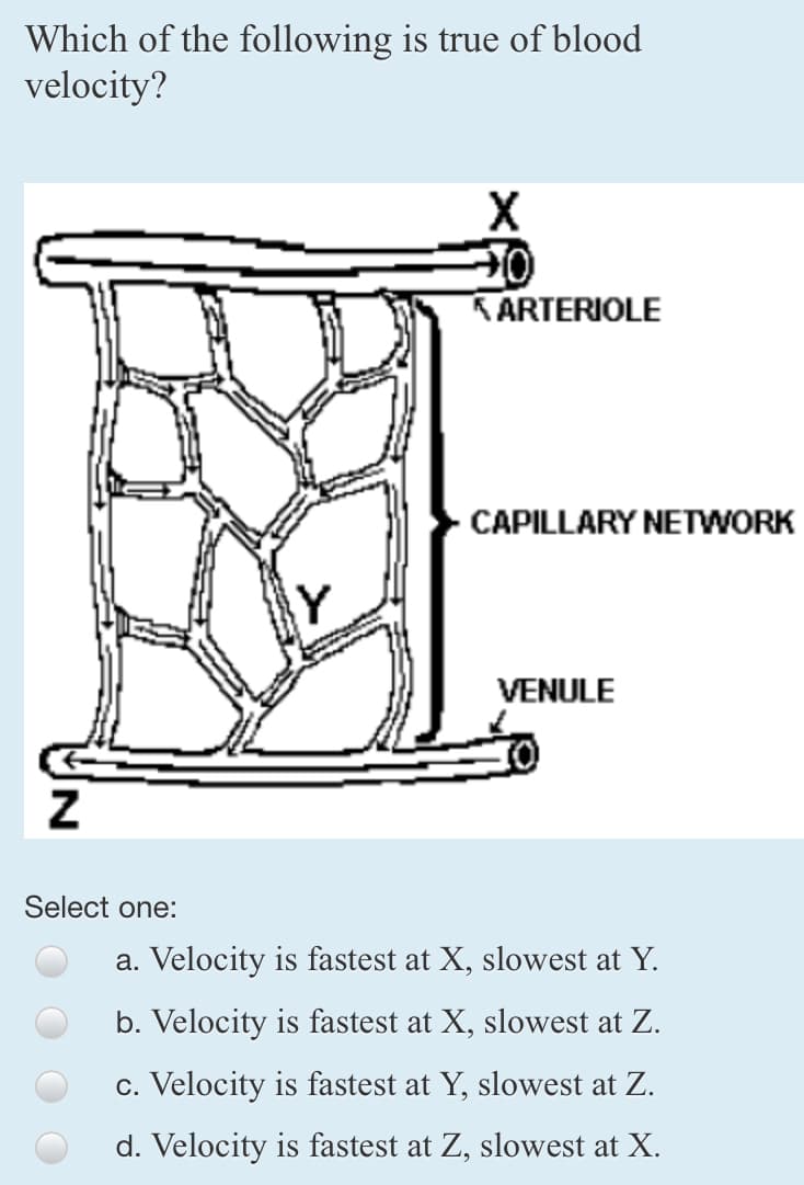 Which of the following is true of blood
velocity?
Z
Select one:
X
10
ARTERIOLE
CAPILLARY NETWORK
VENULE
a. Velocity is fastest at X, slowest at Y.
b. Velocity is fastest at X, slowest at Z.
c. Velocity is fastest at Y, slowest at Z.
d. Velocity is fastest at Z, slowest at X.