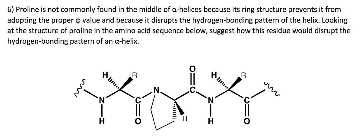 6) Proline is not commonly found in the middle of a-helices because its ring structure prevents it from
adopting the proper value and because it disrupts the hydrogen-bonding pattern of the helix. Looking
at the structure of proline in the amino acid sequence below, suggest how this residue would disrupt the
hydrogen-bonding
pattern of an a-helix.
'N
H
R
N
N
H
***
R