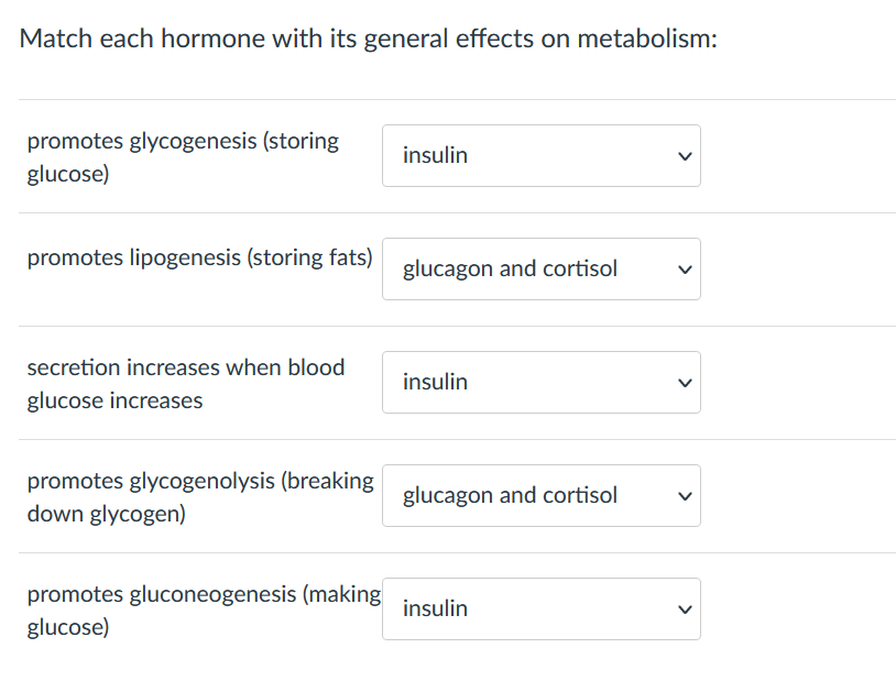 Match each hormone with its general effects on metabolism:
promotes glycogenesis (storing
glucose)
insulin
promotes lipogenesis (storing fats) glucagon and cortisol
secretion increases when blood
insulin
glucose increases
promotes glycogenolysis (breaking
down glycogen)
glucagon and cortisol
promotes gluconeogenesis (making
glucose)
insulin
>
>
>
>
>
