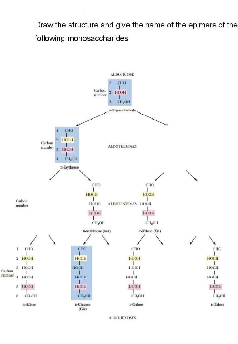 Draw the structure and give the name of the epimers of the
following monosaccharides
ALDOTRIOSE
CHO
Carton
taamber
HOOH
3 CH,OH
Dlilyeeraldehyde
CHO
2 HCOH
Carbon
number
ALDOTETROSES
HCOH
нон
D-Erythrose
CHO
CHO
HOCH
HCOH
Carbon
uumbes
HOOH
HXOH SISOINIJOTTV
HOOH
HCOH
CHOH
CHLOH
Arabinose (Ara)
nXylose (Xyt)
CHO
CHO
CHO
CHO
2 HCOH
HCOH
HCOH
HOCH
3 HCOH
HOCH
HCOH
HOCH
Carbon
TRmber
1 HCOH
HCOH
HOCH
HOCH
5 HOOH
HCOH
HCOH
HCOH
CHOH
CHOH
CHOH
CHOH
THGlucose
(Gle)
Allese
-Gulose
Talose
ALDOHENOSES
