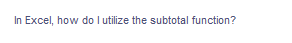 In Excel, how do I utilize the subtotal function?
