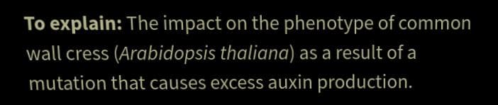 To explain: The impact on the phenotype of common
wall cress (Arabidopsis thaliana) as a result of a
mutation that causes excess auxin production.
