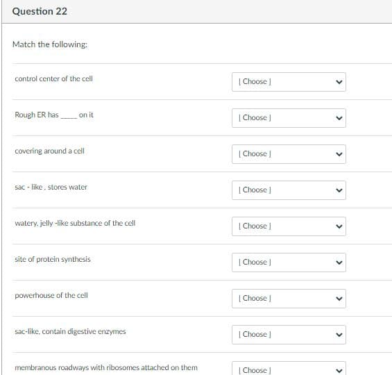 Question 22
Match the following:
control center of the cell
| Choose )
Rough ER has on it
[ Choose J
covering around a cell
| Choose )
sac - like, stores water
[ Choose |
watery, jelly -like substance of the cell
| Choose
site of protein synthesis
[ Choose )
powerhouse of the cell
| Choose
sac-like, contain digestive enzymes
| Choose )
membranous roadways with ribosomes attached on them
| Choose ]
>
>
>
>
>
>
>
>
