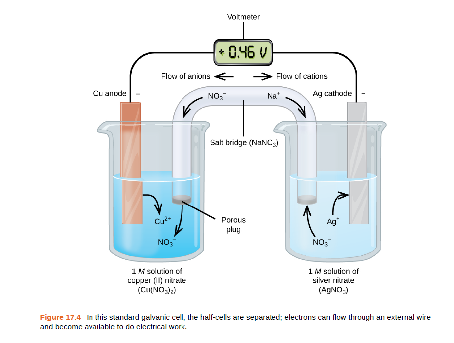 Voltmeter
+ 0.46 V
Flow of anions
Flow of cations
Cu anode
NO3
Na*
Ag cathode
Salt bridge (NANO3)
Cu2+
Porous
Ag*
plug
NO3
NO3
1 M solution of
copper (II) nitrate
(Cu(NO3)2)
1 M solution of
silver nitrate
(AGNO3)
Figure 17.4 In this standard galvanic cell, the half-cells are separated; electrons can flow through an external wire
and become available to do electrical work.
