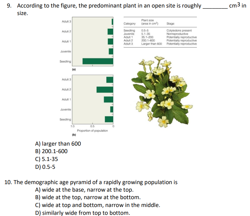 9. According to the figure, the predominant plant in an open site is roughly
size.
Adult 3
Category
Plant size
(area in cm²)
Stage
Adult 2
Seedling
0.5-5
5.1-35
Cotyledons present
Nonreproductive
Juvenile
Adult 1
35.1-200
Potentially reproductive
Adult 1
Adult 2
200.1-600
Potentially reproductive
Adult 3
Larger than 600 Potentially reproductive
Juvenile
Seedling
Adult 3
Adult 2
Adult 1
Juvenile
Seedling
0.5
Proportion of population
(b)
A) larger than 600
B) 200.1-600
C) 5.1-35
D) 0.5-5
10. The demographic age pyramid of a rapidly growing population is
A) wide at the base, narrow at the top.
B) wide at the top, narrow at the bottom.
C) wide at top and bottom, narrow in the middle.
D) similarly wide from top to bottom.
(a)
1.0
cm3 in