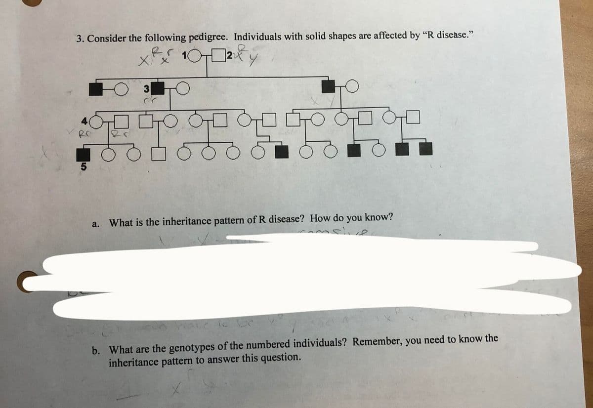 3. Consider the following pedigree. Individuals with solid shapes are affected by "R disease."
J₂xy
Xx
you know?
nsive
a. What is the inheritance pattern of R disease? How do
have to be
b. What are the genotypes of the numbered individuals? Remember, you need to know the
inheritance pattern to answer this question.