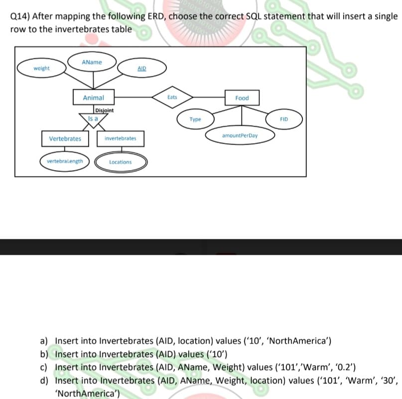 010111
101010
Q14) After mapping the following ERD, choose the correct SQL statement that will insert a single
row to the invertebrates table
weight
AName
Vertebrates
Animal
vertebraLength
Disjoint
Is a
invertebrates
Locations
AID
Eats
Type
0101
Food
amountPerDay
FID
a) Insert into Invertebrates (AID, location) values ('10', 'North America')
b) Insert into Invertebrates (AID) values ('10')
c) Insert into Invertebrates (AID, AName, Weight) values ('101', 'Warm', '0.2')
d) Insert into Invertebrates (AID, AName, Weight, location) values ('101', 'Warm', '30',
'North America')