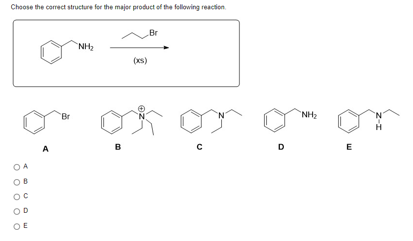 Choose the correct structure for the major product of the following reaction.
OE
A
Br
NH₂
B
00
(xs)
N
Br
с
N
D
NH₂
E
N
I-Z
H