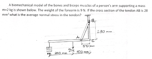 A biomechanical model of the bones and biceps muscles of a person's arm supporting a mass
m=2 kg is shown below. The weight of the forearm is 9 N. If the cross section of the tendon AB is 28
mm? what is the average normai stress in the tendon? u
290 mm
50 mm
200 mm
150 mm
