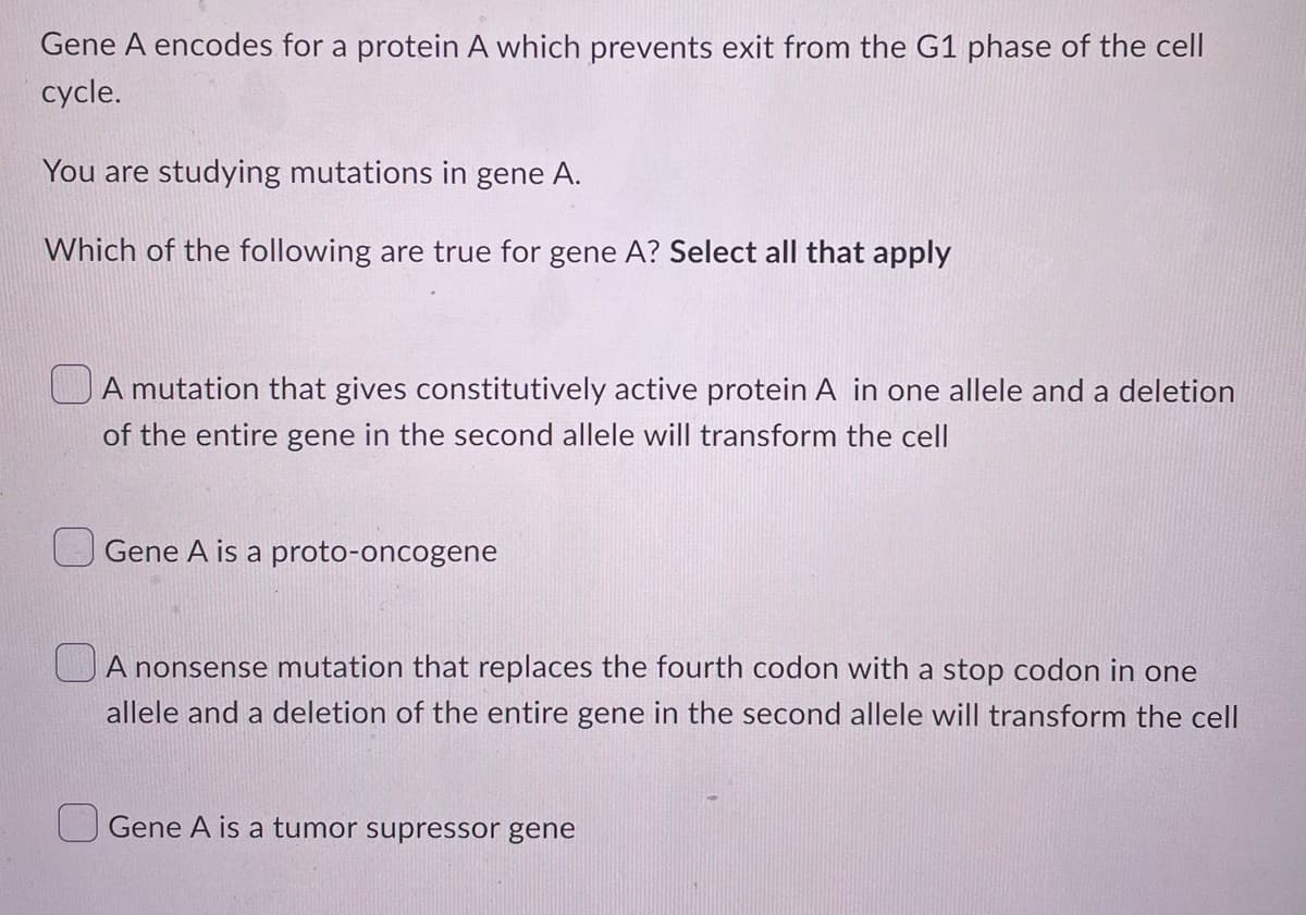 Gene A encodes for a protein A which prevents exit from the G1 phase of the cell
cycle.
You are studying mutations in gene A.
Which of the following are true for gene A? Select all that apply
A mutation that gives constitutively active protein A in one allele and a deletion
of the entire gene in the second allele will transform the cell
Gene A is a proto-oncogene
A nonsense mutation that replaces the fourth codon with a stop codon in one
allele and a deletion of the entire gene in the second allele will transform the cell
Gene A is a tumor supressor gene