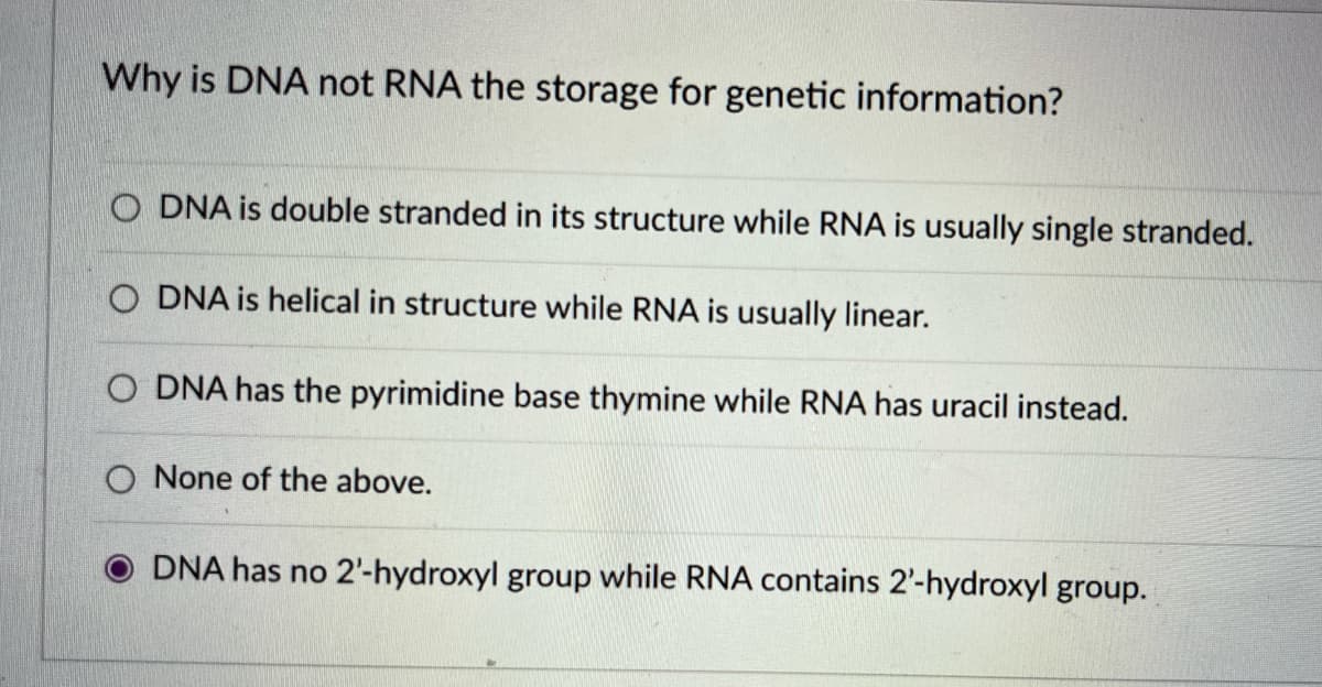 Why is DNA not RNA the storage for genetic information?
O DNA is double stranded in its structure while RNA is usually single stranded.
O DNA is helical in structure while RNA is usually linear.
O DNA has the pyrimidine base thymine while RNA has uracil instead.
O None of the above.
DNA has no 2'-hydroxyl group while RNA contains 2'-hydroxyl group.
