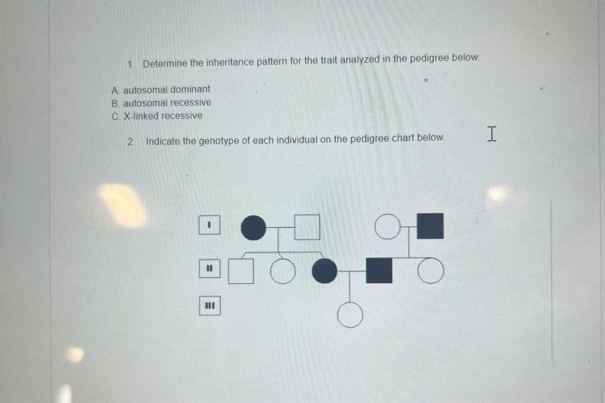 1. Determine the inheritance pattern for the trait analyzed in the pedigree below.
A. autosomal dominant
B. autosomal recessive
C. X-linked recessive
2. Indicate the genotype of each individual on the pedigree chart below.
11
E
III
H