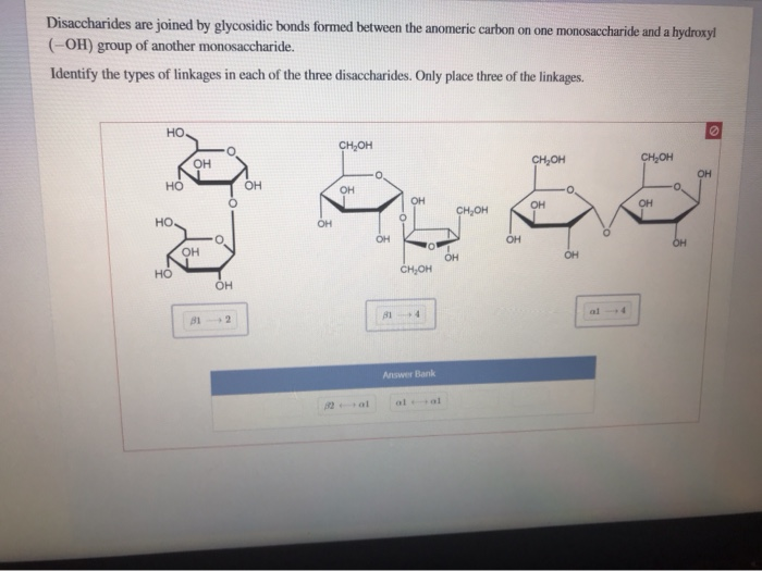 Disaccharides are joined by glycosidic bonds formed between the anomeric carbon on one monosaccharide and a hydroxyl
(-OH) group of another monosaccharide.
Identify the types of linkages in each of the three disaccharides. Only place three of the linkages.
но.
CH,OH
OH
CH,OH
CH,OH
OH
но
OH
OH
он
он
OH
CH,OH
но
OH
OH
OH
OH
CH,OH
но
он
al
81 4
Answer Bank
82 al
al al
