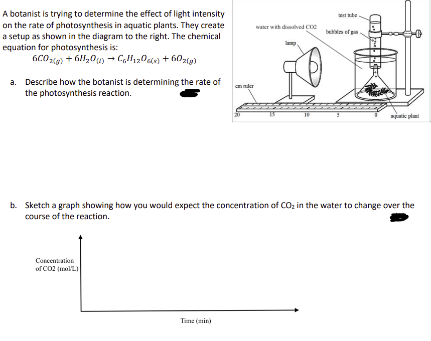 A botanist is trying to determine the effect of light intensity
on the rate of photosynthesis in aquatic plants. They create
a setup as shown in the diagram to the right. The chemical
equation for photosynthesis is:
6CO2(g) + 6H2O (l) → C6H12O6(s) + 602(g)
a. Describe how the botanist is determining the rate of
the photosynthesis reaction.
cm ruler
test tube
water with dissolved CO2
bubbles of gas
lamp
0
10
S
aquatic plant
b. Sketch a graph showing how you would expect the concentration of CO2 in the water to change over the
course of the reaction.
Concentration
of CO2 (mol/L)
Time (min)