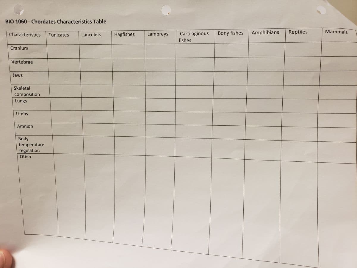 BIO 1060 - Chordates Characteristics Table
Hagfishes
Lampreys
Cartilaginous
Bony fishes
Amphibians
Reptiles
Mammals
Characteristics
Tunicates
Lancelets
fishes
Cranium
Vertebrae
Jaws
Skeletal
composition
Lungs
Limbs
Amnion
Body
temperature
regulation
Other
