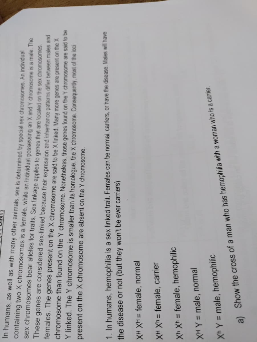 In humans, as well as with many other animals, sex is determined by special sex chromosomes. An individual
containing two X chromosomes is a female, while an individual possessing an X and Y chromosome is a male. he
sex chromosomes bear alleles for traits. Sex linkage applies to genes that are located on the sex chromosomes.
These genes are considered sex-linked because their expression and inheritance patterns differ between males and
females. The genes present on the X chromosome are said to be X linked. Many more genes are present on the X
chromosome than found on the Y chromosome. Nonetheless, those genes found on the Y chromosome are said to be
Y linked. The Y chromosome is smaller than its homologue, the X chromosome. Consequently, most of the loci
present on the X chromosome are absent on the Y chromosome.
1. In humans, hemophilia is a sex linked trait. Females can be normal, carriers, or have the disease. Males will have
the disease or not (but they won't be ever carriers)
XH XH = female, normal
XH Xh = female, carrier
%3D
Xh Xh = female, hemophilic
XH Y = male, normal
%3D
Xh Y = male, hemophilic
%3D
a) Show the cross of a man who has hemophilia with a woman who is a carrier.
