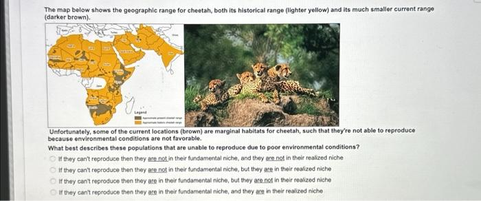 The map below shows the geographic range for cheetah, both its historical range (lighter yellow) and its much smaller current range
(darker brown).
Unfortunately, some of the current locations (brown) are marginal habitats for cheetah, such that they're not able to reproduce
because environmental conditions are not favorable.
What best describes these populations that are unable to reproduce due to poor environmental conditions?
If they can't reproduce then they are not in their fundamental niche, and they are not in their realized niche
If they can't reproduce then they are not in their fundamental niche, but they are in their realized niche
If they can't reproduce then they are in their fundamental niche, but they are not in their realized niche
If they can't reproduce then they are in their fundamental niche, and they are in their realized niche