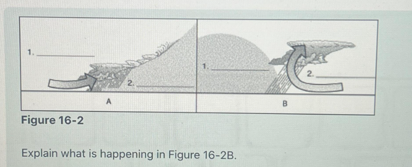 1.
Figure 16-2
A
2.
1.
Explain what is happening in Figure 16-2B.
B
2.