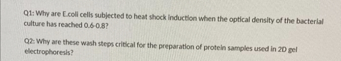 Q1: Why are E.coli cells subjected to heat shock induction when the optical density of the bacterial
culture has reached 0.6-0.8?
Q2: Why are these wash steps critical for the preparation of protein samples used in 2D gel
electrophoresis?
