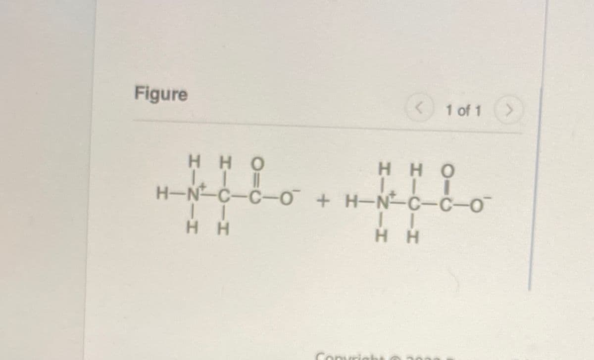 Figure
<1 of 1
HHO
H HO
H-N-C-C- O+H-N-C-C-O
H H
нн
Convrigh
