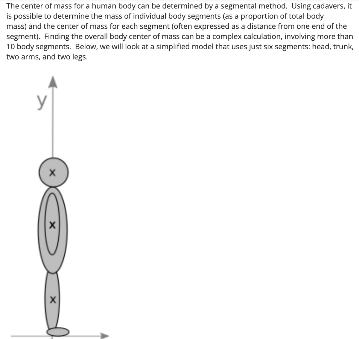 The center of mass for a human body can be determined by a segmental method. Using cadavers, it
is possible to determine the mass of individual body segments (as a proportion of total body
mass) and the center of mass for each segment (often expressed as a distance from one end of the
segment). Finding the overall body center of mass can be a complex calculation, involving more than
10 body segments. Below, we will look at a simplified model that uses just six segments: head, trunk,
two arms, and two legs.
X
X