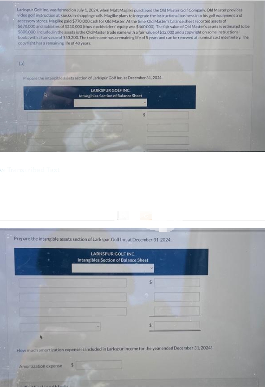 Larkspur Golt Inc. was formed on July 1, 2024, when Matt Magilke purchased the Old Master Golf Company. Old Master provides
video golf instruction at kiosks in shopping malls. Magilke plans to integrate the instructional business into his golf equipment and
accessory stores. Magilke paid $770,000 cash for Old Master. At the time. Old Master's balance sheet reported assets of
$670.000 and liabilities of $210.000 (thus stockholders' equity was $460,000). The fair value of Old Master's assets is estimated to be
$800,000, Included in the assets is the Old Master trade name with a fair value of $12,000 and a copyright on some instructional
books with a fair value of $43,200. The trade name has a remaining life of 5 years and can be renewed at nominal cost indefinitely. The
copyright has a remaining life of 40 years.
(a)
Prepare the intangible assets section of Larkspur Golf Inc. at December 31, 2024.
w Transcribed Text
Prepare the intangible assets section of Larkspur Golf Inc. at December 31, 2024.
Amortization expense
LARKSPUR GOLF INC.
Intangibles Section of Balance Sheet
and Moris
How much amortization expense is included in Larkspur income for the year ended December 31, 2024?
$
LARKSPUR GOLF INC.
Intangibles Section of Balance Sheet
$