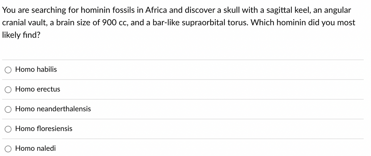 You are searching for hominin fossils in Africa and discover a skull with a sagittal keel, an angular
cranial vault, a brain size of 900 cc, and a bar-like supraorbital torus. Which hominin did you most
likely find?
Homo habilis
Homo erectus
Homo neanderthalensis
O Homo floresiensis
Homo naledi
