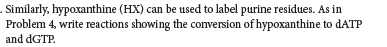 Similarly, hypoxanthine (HX) can be used to label purine residues. As in
Problem 4, write reactions showing the conversion of hypoxanthine to dATP
and dGTP.
