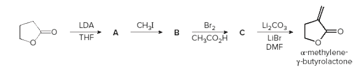 LI2CO3
LIBr
DMF
LDA
CH,I
Br2
THE
в
CH;CO,H
a-methylene-
ybutyrolactone
