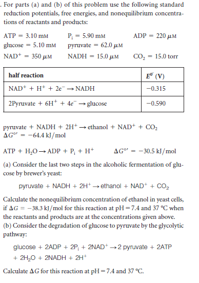 . For parts (a) and (b) of this problem use the following standard
reduction potentials, free energies, and nonequilibrium concentra-
tions of reactants and products:
АТР - 3.10 mм
P; = 5.90 mM
ADP = 220 µM
glucose = 5.10 mM
pyruvate = 62.0 uM
NAD+ = 350 µM
NADH =
15.0 μΜ
CO, = 15.0 torr
half reaction
E (V)
NAD+ + H+ + 2e→ NADH
-0.315
2Pyruvate + 6H* + 4e →
glucose
-0.590
pyruvate + NADH + 2H+
AG" = -64.4 k)/mol
→ ethanol + NAD+ + CO,
ATP + H,0→ ADP + P; + H*
AG"
- 30.5 kl/mol
(a) Consider the last two steps in the alcoholic fermentation of glu-
cose by brewer's yeast:
pyruvate + NADH + 2H* » ethanol + NAD* + CO,
Calculate the nonequilibrium concentration of ethanol in yeast cells,
if AG = -38.3 kJ/mol for this reaction at pH=7.4 and 37 °C when
the reactants and products are at the concentrations given above.
(b) Consider the degradation of glucose to pyruvate by the glycolytic
pathway:
glucose + 2ADP + 2P; + 2NAD+ →2 pyruvate + 2ATP
+ 2H,0 + 2NADH + 2H*
Calculate AG for this reaction at pH =7.4 and 37 °C.
