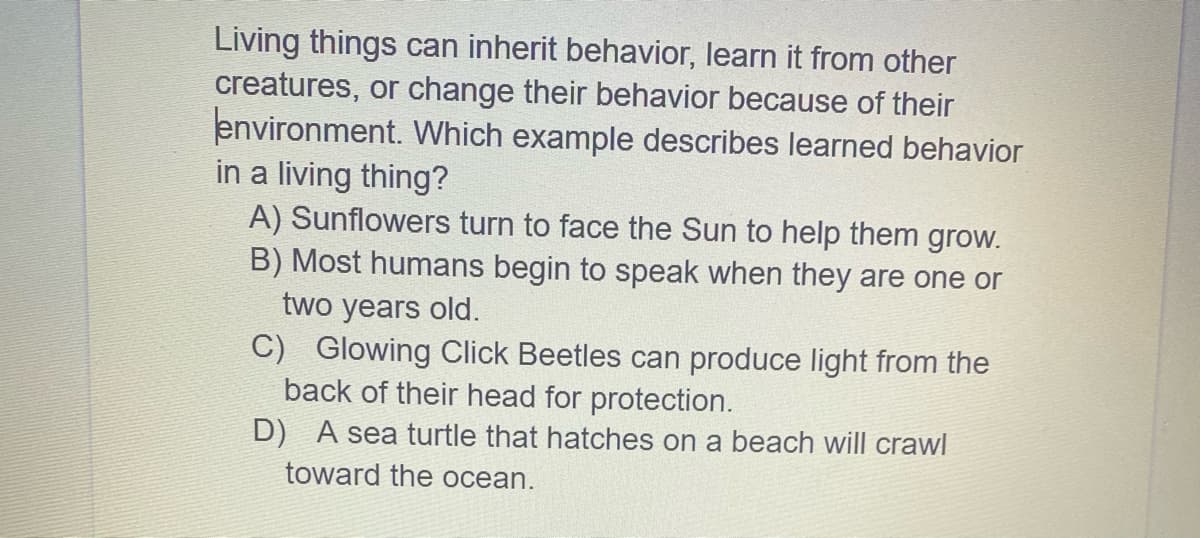 Living things can inherit behavior, learn it from other
creatures, or change their behavior because of their
environment. Which example describes learned behavior
in a living thing?
A) Sunflowers turn to face the Sun to help them grow.
B) Most humans begin to speak when they are one or
two years old.
C) Glowing Click Beetles can produce light from the
back of their head for protection.
D) A sea turtle that hatches on a beach will crawl
toward the ocean.
