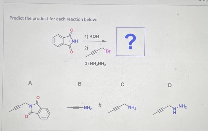 Predict the product for each reaction below:
A
L
: NH
B
1) KOH
2)
'Br
3) NH,NH,
NH₂
?
C
NH₂
D
NH₂