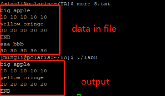 [mingliênolaris:~/TA]$ more 8.txt
big apple
10 10 10 l0 10
yellow oringe
20 20 20 20 20
END
aaa bbb
30 30 30 30 30
[mingli@polaris:~/TA]$ ./lab8
big apple
10 10 10 10 10
yellow oringe
20 20 20 20 20
END
data in file
output
