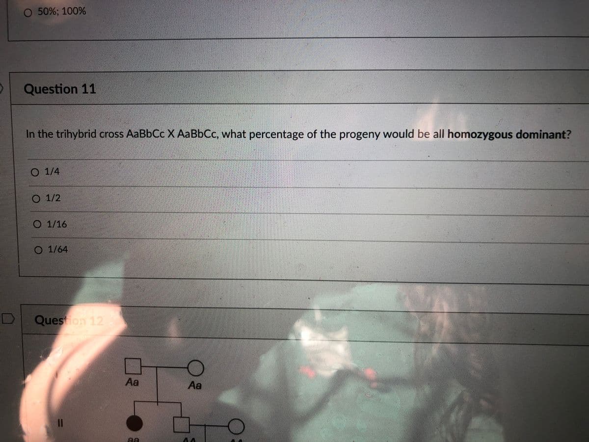 O 50%; 100%
Question 11
In the trihybrid cross AaBbCc X AaBbCc, what percentage of the progeny would be all homozygous dominant?
O 1/4
1/2
1/16
O 1/64
Question 12
Aa
Aa
1|
